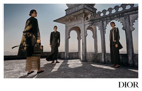 viviane sassen dior|Tribute to India: DIOR Pre.